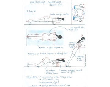 CHATURANGA DANDASANA – JOGOVÝ KLIK