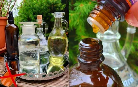 Recept na repelent proti kliešťom