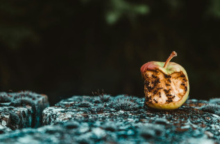 Systemické konštelácie Nespokojnosť